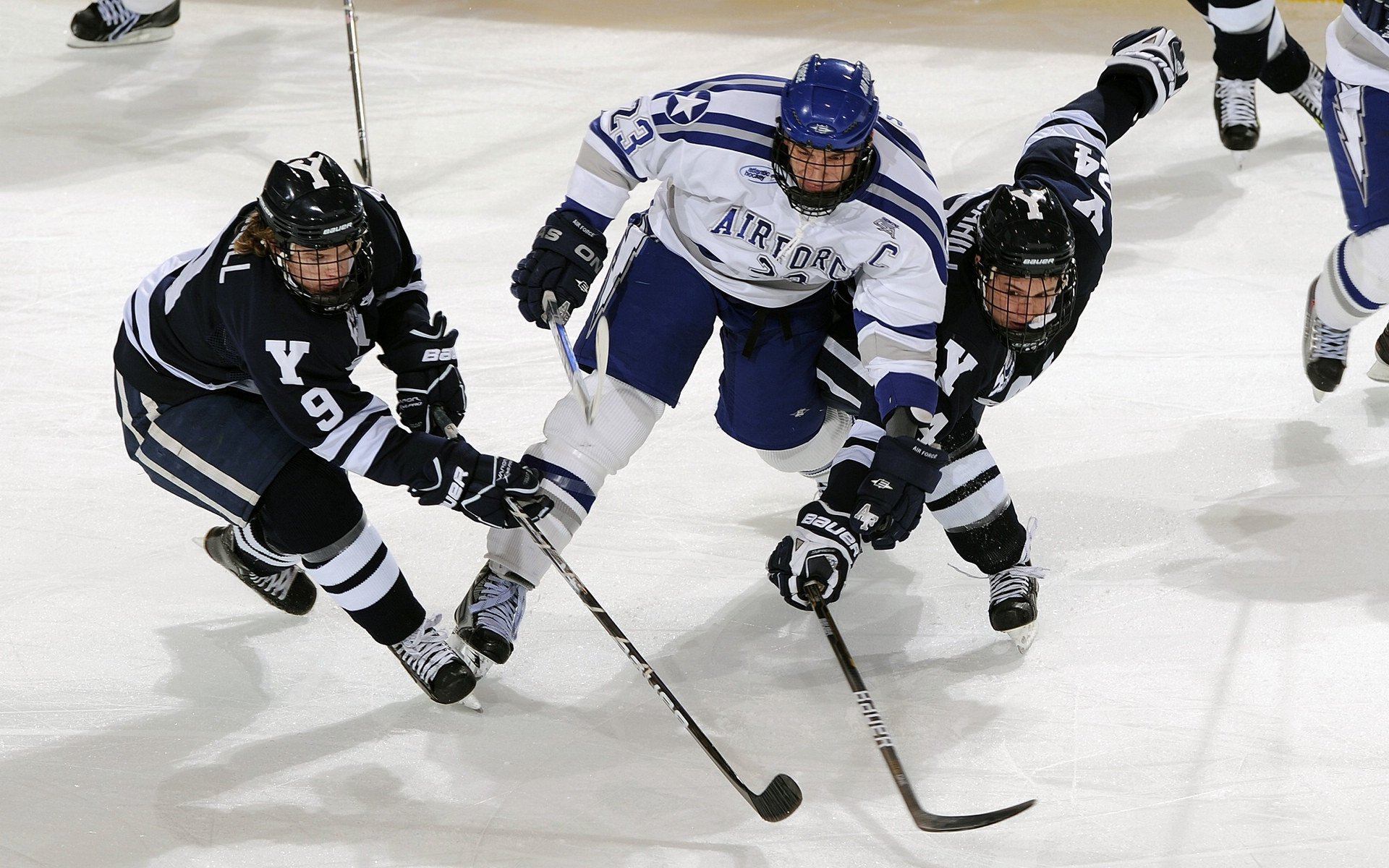 _全民水上运动月：清凉一夏全民健身_，水上运动节目叫什么